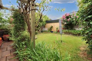Garden (2)- click for photo gallery